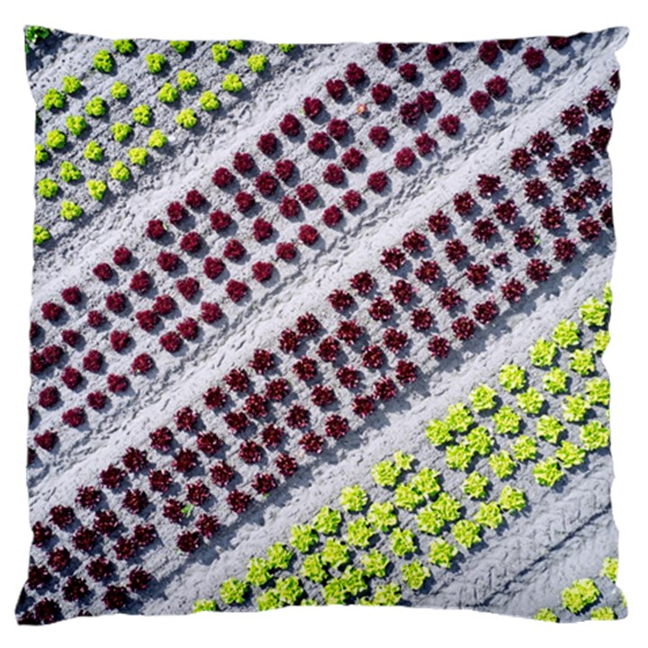 Field Agriculture Farm Stripes Diagonal Pattern Large Cushion Case (One Side)