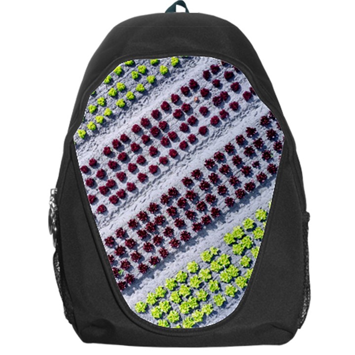 Field Agriculture Farm Stripes Diagonal Pattern Backpack Bag