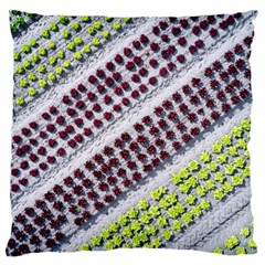 Field Agriculture Farm Stripes Diagonal Pattern Standard Premium Plush Fleece Cushion Case (one Side) by Jancukart