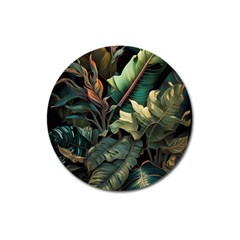 Tropical Leaf Leaves Foliage Monstera Nature Magnet 3  (round)