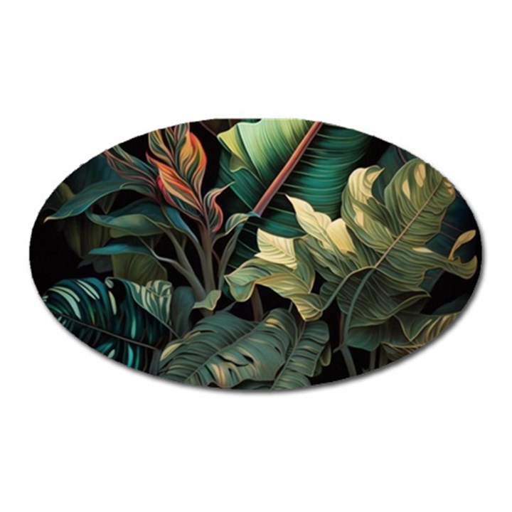 Tropical Leaf Leaves Foliage Monstera Nature Oval Magnet