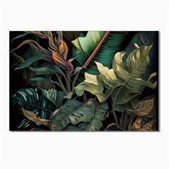 Tropical Leaf Leaves Foliage Monstera Nature Postcards 5  X 7  (pkg Of 10)