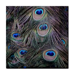 Peacock Feathers Peacock Bird Feathers Tile Coaster by Jancukart