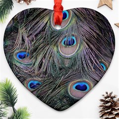 Peacock Feathers Peacock Bird Feathers Ornament (heart)