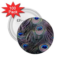 Peacock Feathers Peacock Bird Feathers 2 25  Buttons (100 Pack) 