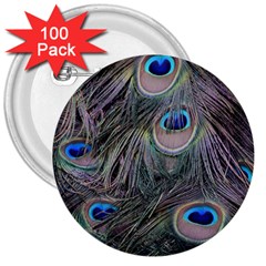 Peacock Feathers Peacock Bird Feathers 3  Buttons (100 Pack) 