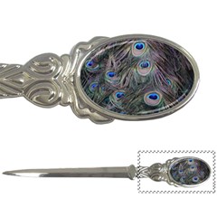 Peacock Feathers Peacock Bird Feathers Letter Opener by Jancukart