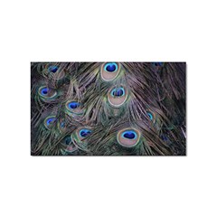 Peacock Feathers Peacock Bird Feathers Sticker (rectangular) by Jancukart