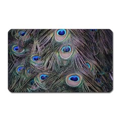 Peacock Feathers Peacock Bird Feathers Magnet (rectangular) by Jancukart