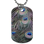 Peacock Feathers Peacock Bird Feathers Dog Tag (One Side) Front