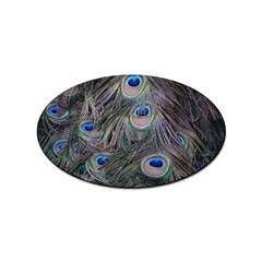 Peacock Feathers Peacock Bird Feathers Sticker Oval (100 Pack) by Jancukart