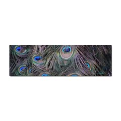 Peacock Feathers Peacock Bird Feathers Sticker Bumper (100 Pack) by Jancukart