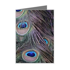 Peacock Feathers Peacock Bird Feathers Mini Greeting Card by Jancukart