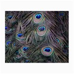 Peacock Feathers Peacock Bird Feathers Small Glasses Cloth Front