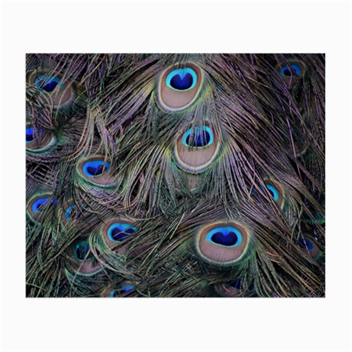 Peacock Feathers Peacock Bird Feathers Small Glasses Cloth