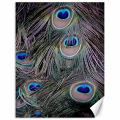 Peacock Feathers Peacock Bird Feathers Canvas 12  X 16  by Jancukart