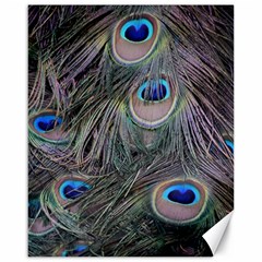 Peacock Feathers Peacock Bird Feathers Canvas 16  X 20  by Jancukart