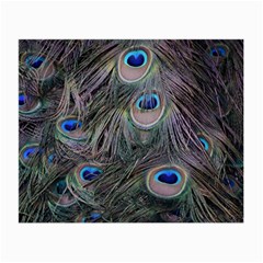 Peacock Feathers Peacock Bird Feathers Small Glasses Cloth (2 Sides) by Jancukart