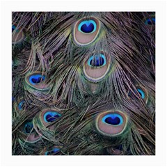 Peacock Feathers Peacock Bird Feathers Medium Glasses Cloth