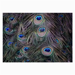 Peacock Feathers Peacock Bird Feathers Large Glasses Cloth (2 Sides) by Jancukart