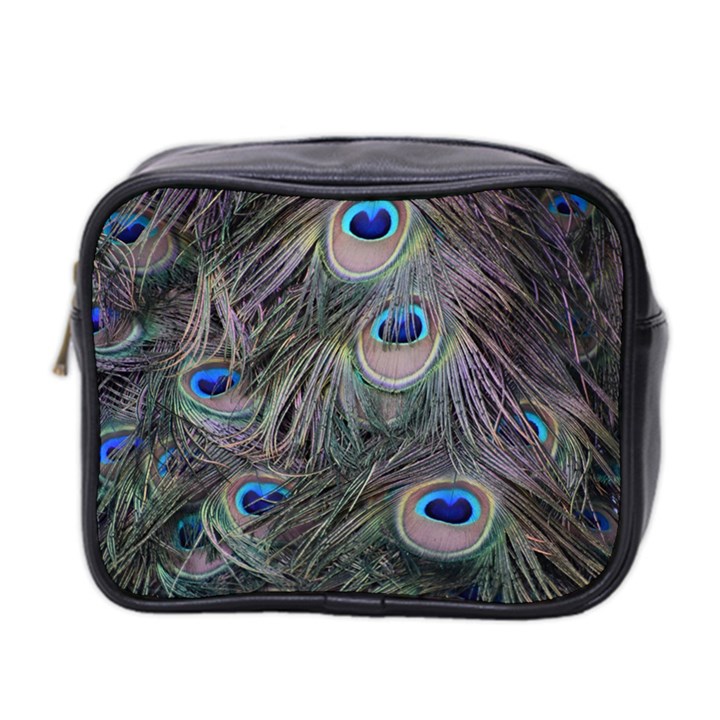 Peacock Feathers Peacock Bird Feathers Mini Toiletries Bag (Two Sides)