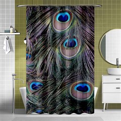 Peacock Feathers Peacock Bird Feathers Shower Curtain 48  X 72  (small) 