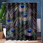 Peacock Feathers Peacock Bird Feathers Shower Curtain 60  x 72  (Medium)  60 x72  Curtain