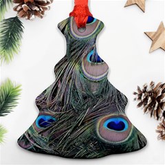 Peacock Feathers Peacock Bird Feathers Ornament (christmas Tree) 