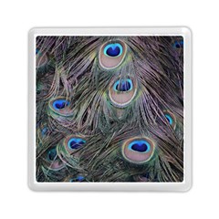 Peacock Feathers Peacock Bird Feathers Memory Card Reader (square)