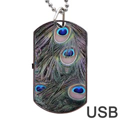 Peacock Feathers Peacock Bird Feathers Dog Tag Usb Flash (one Side) by Jancukart