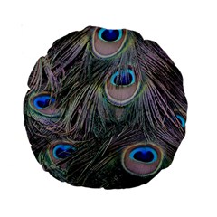 Peacock Feathers Peacock Bird Feathers Standard 15  Premium Round Cushions