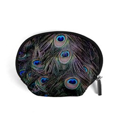 Peacock Feathers Peacock Bird Feathers Accessory Pouch (small)