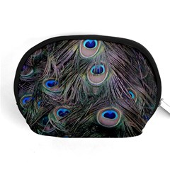 Peacock Feathers Peacock Bird Feathers Accessory Pouch (medium)