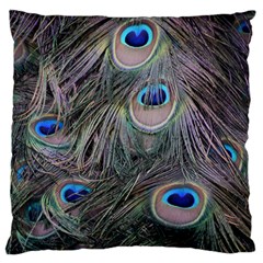 Peacock Feathers Peacock Bird Feathers Standard Premium Plush Fleece Cushion Case (one Side) by Jancukart