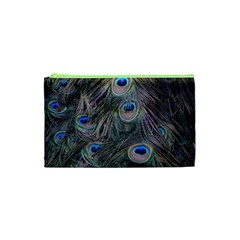 Peacock Feathers Peacock Bird Feathers Cosmetic Bag (xs) by Jancukart