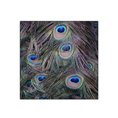 Peacock Feathers Peacock Bird Feathers Satin Bandana Scarf 22  X 22 