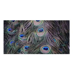 Peacock Feathers Peacock Bird Feathers Satin Shawl 45  X 80 