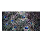 Peacock Feathers Peacock Bird Feathers Satin Shawl 45  x 80  Front