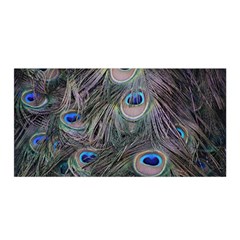 Peacock Feathers Peacock Bird Feathers Satin Wrap 35  X 70  by Jancukart