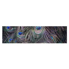 Peacock Feathers Peacock Bird Feathers Oblong Satin Scarf (16  X 60 ) by Jancukart