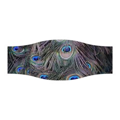 Peacock Feathers Peacock Bird Feathers Stretchable Headband