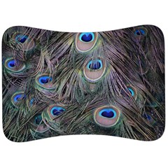 Peacock Feathers Peacock Bird Feathers Velour Seat Head Rest Cushion