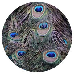 Peacock Feathers Peacock Bird Feathers Round Trivet