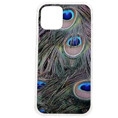 Peacock Feathers Peacock Bird Feathers Iphone 12 Pro Max Tpu Uv Print Case