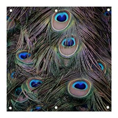 Peacock Feathers Peacock Bird Feathers Banner And Sign 3  X 3 