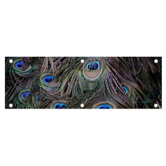 Peacock Feathers Peacock Bird Feathers Banner And Sign 6  X 2  by Jancukart