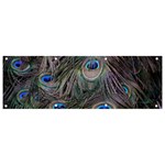 Peacock Feathers Peacock Bird Feathers Banner and Sign 9  x 3  Front