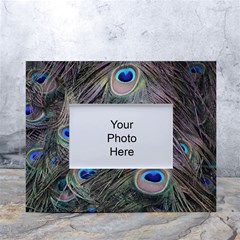 Peacock Feathers Peacock Bird Feathers White Tabletop Photo Frame 4 x6  by Jancukart