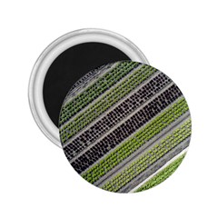 Field Agriculture Farm Stripes Diagonal 2 25  Magnets