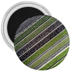 Field Agriculture Farm Stripes Diagonal 3  Magnets by Jancukart